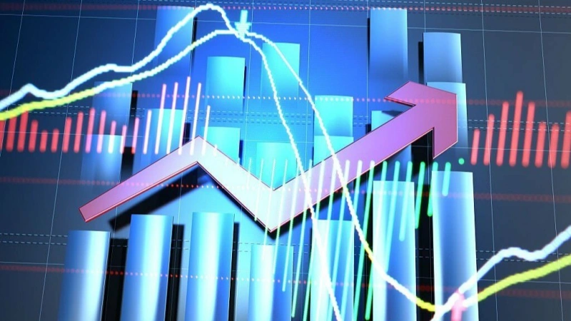 petroleum hose market size