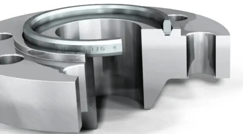 ring type joint flange