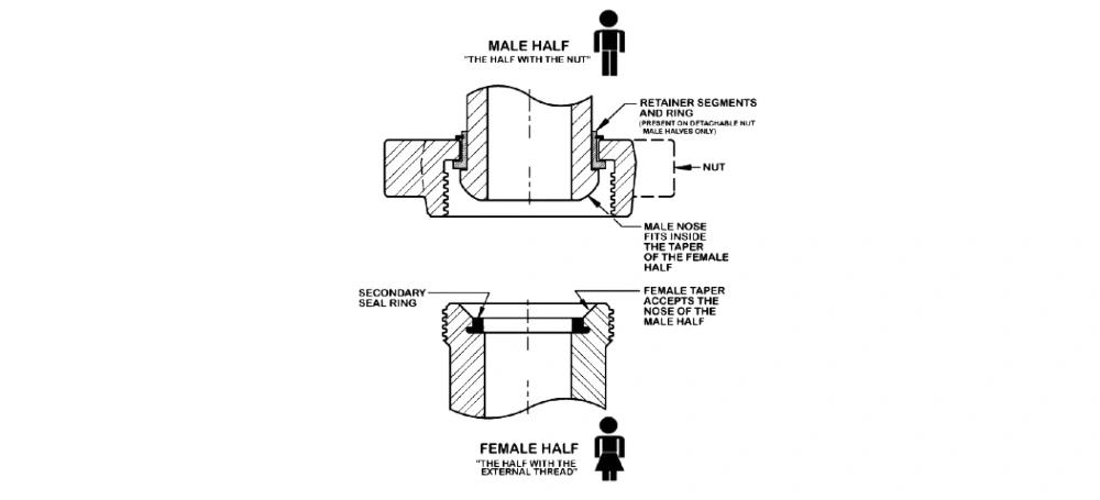 hammer union male and female identification
